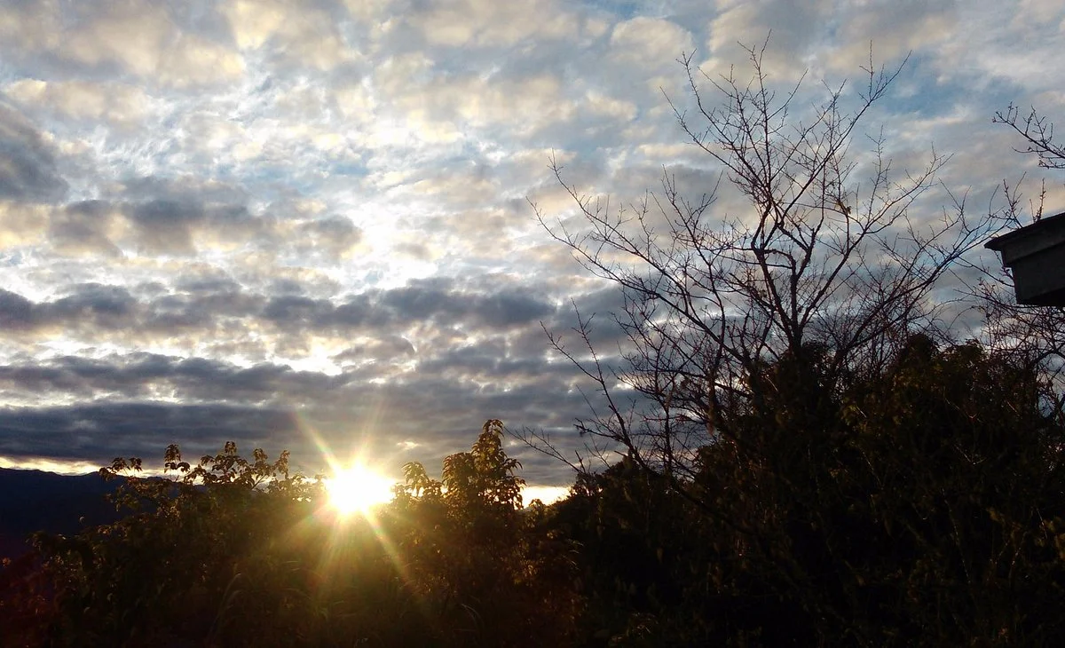 Jiayi Dadongshan Forest Trail