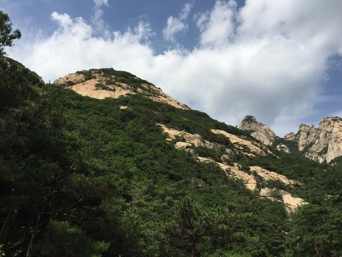 Liugongdao National Forest Park