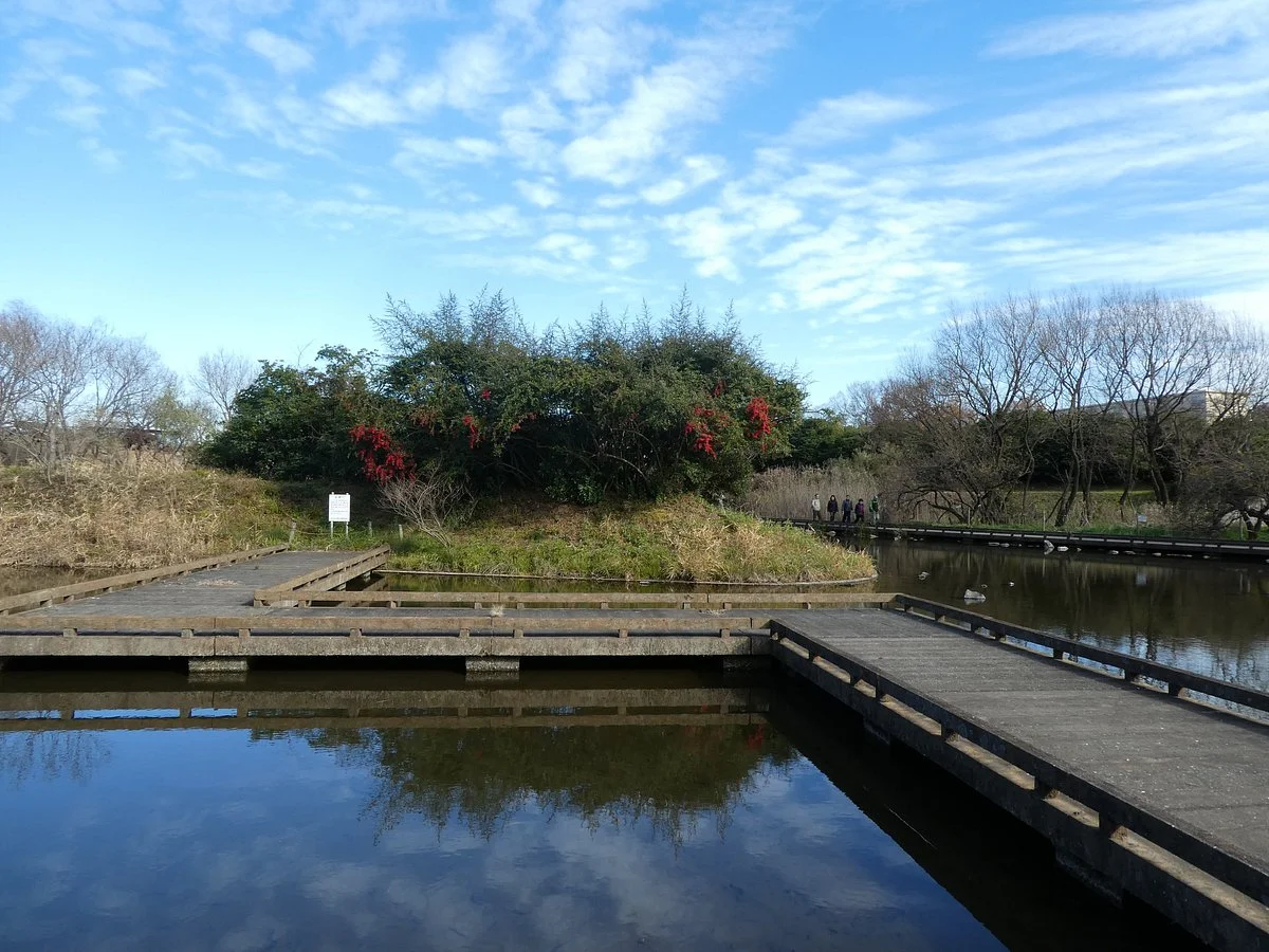 Kiyose Kanayama Ryokuchi Park