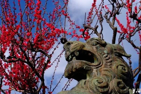 Yuki Shrine