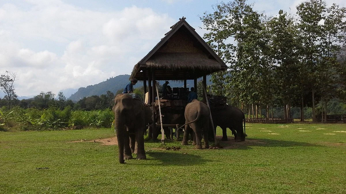 Nam Ou Elephant Farm