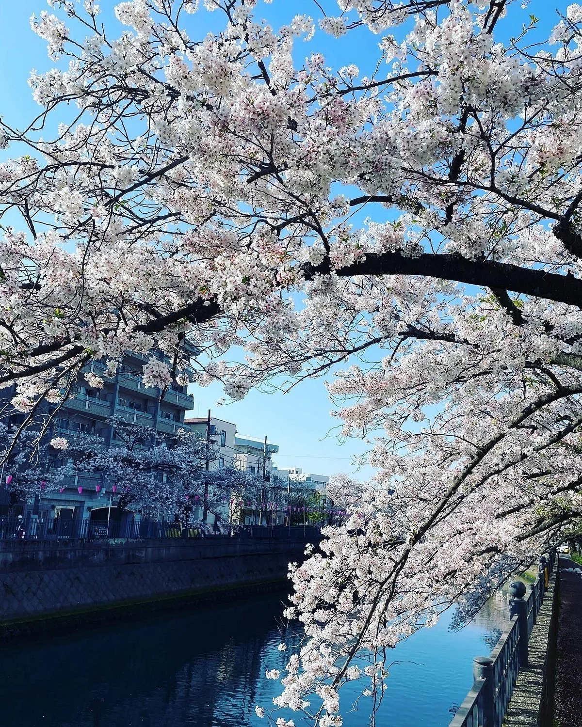Oookagawa Promenade