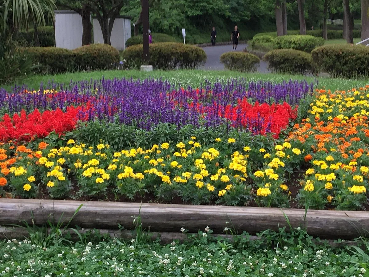 Kuraki Park