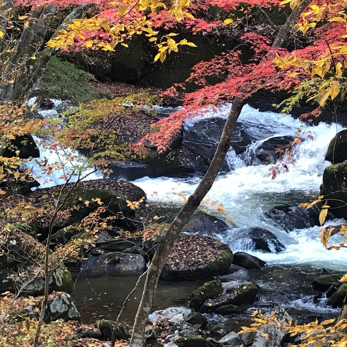 Kowadaki Waterfall Promenade