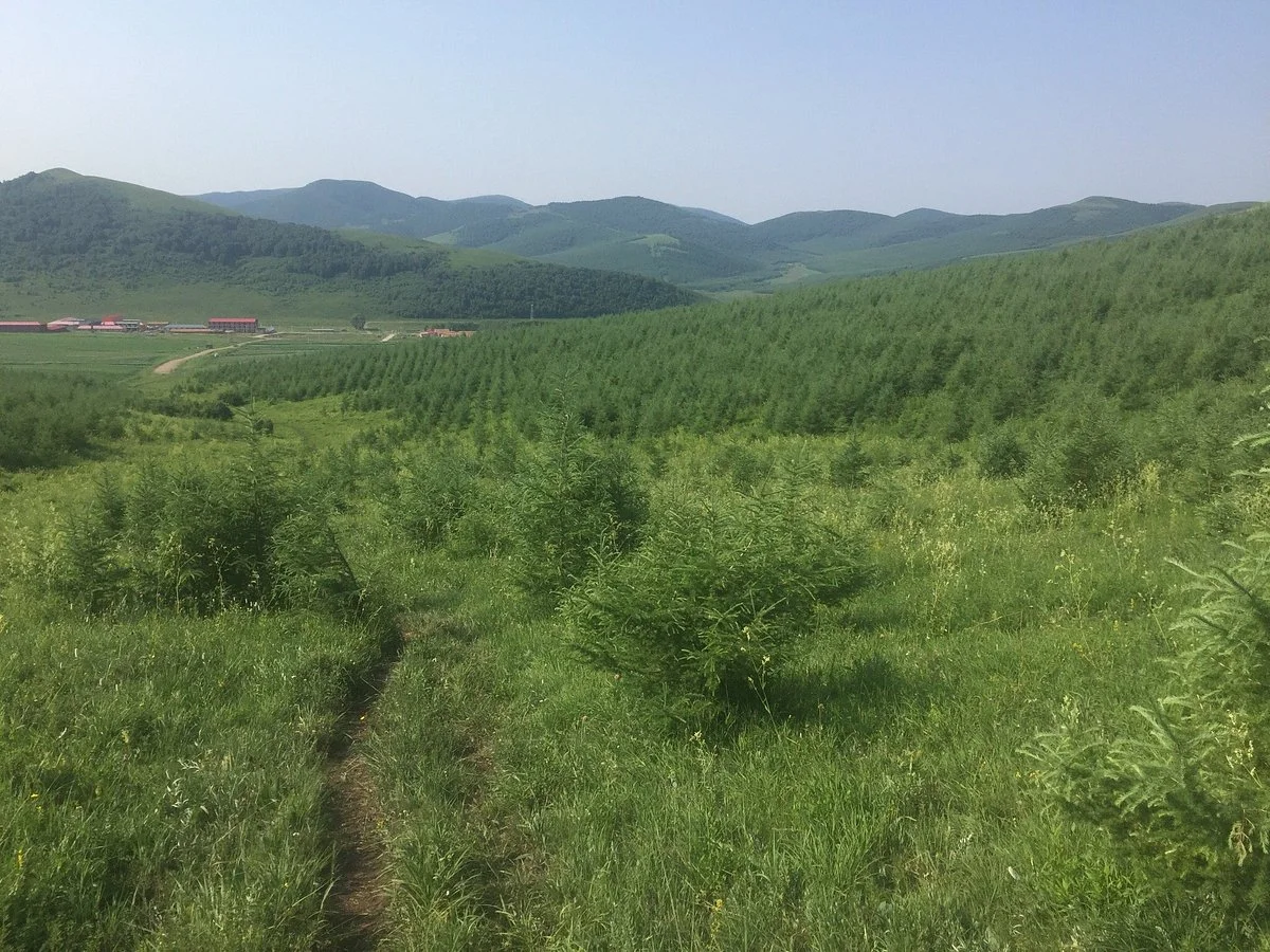 Northern Beijing Grand Grassland
