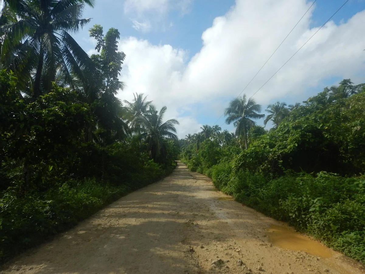 Borongan - Llorente Closed Canopy Forest