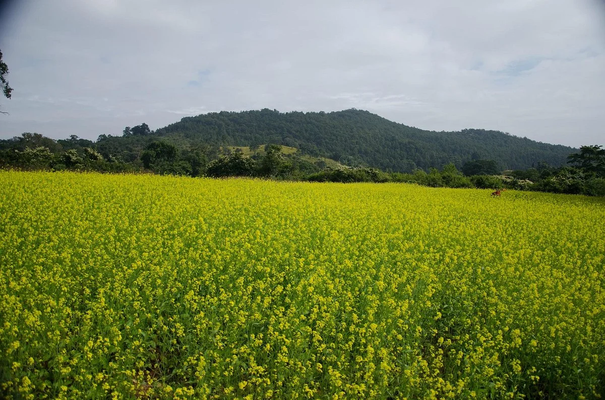 Gonasikha Temple