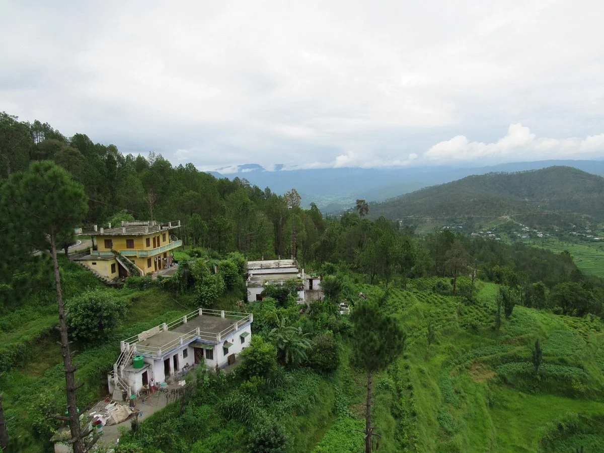 Kasauni Tea Estate