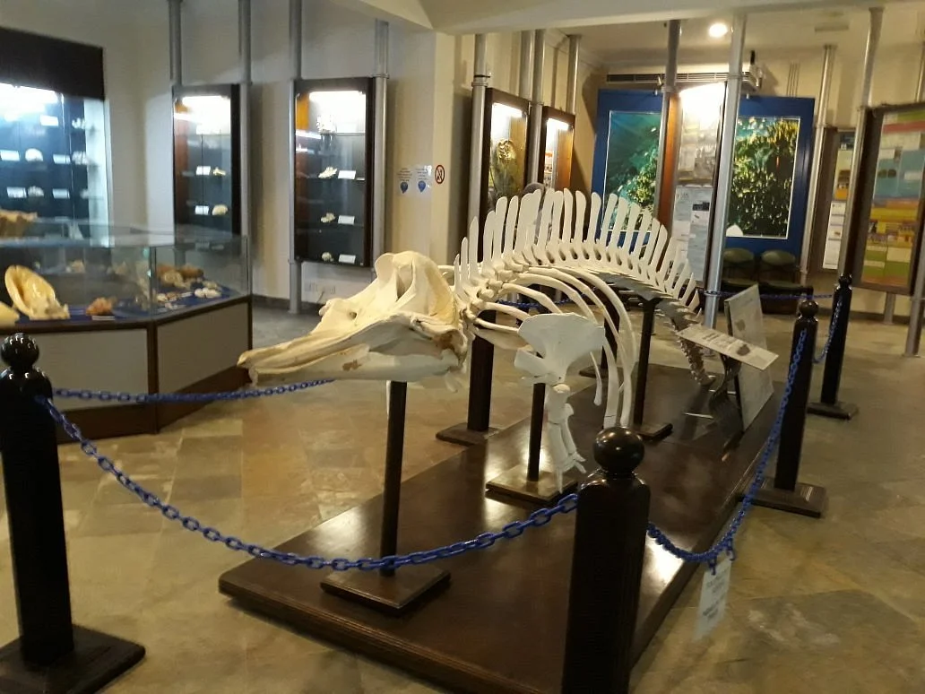 Marine Aquarium and Museum