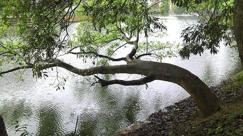 Xiangshui River