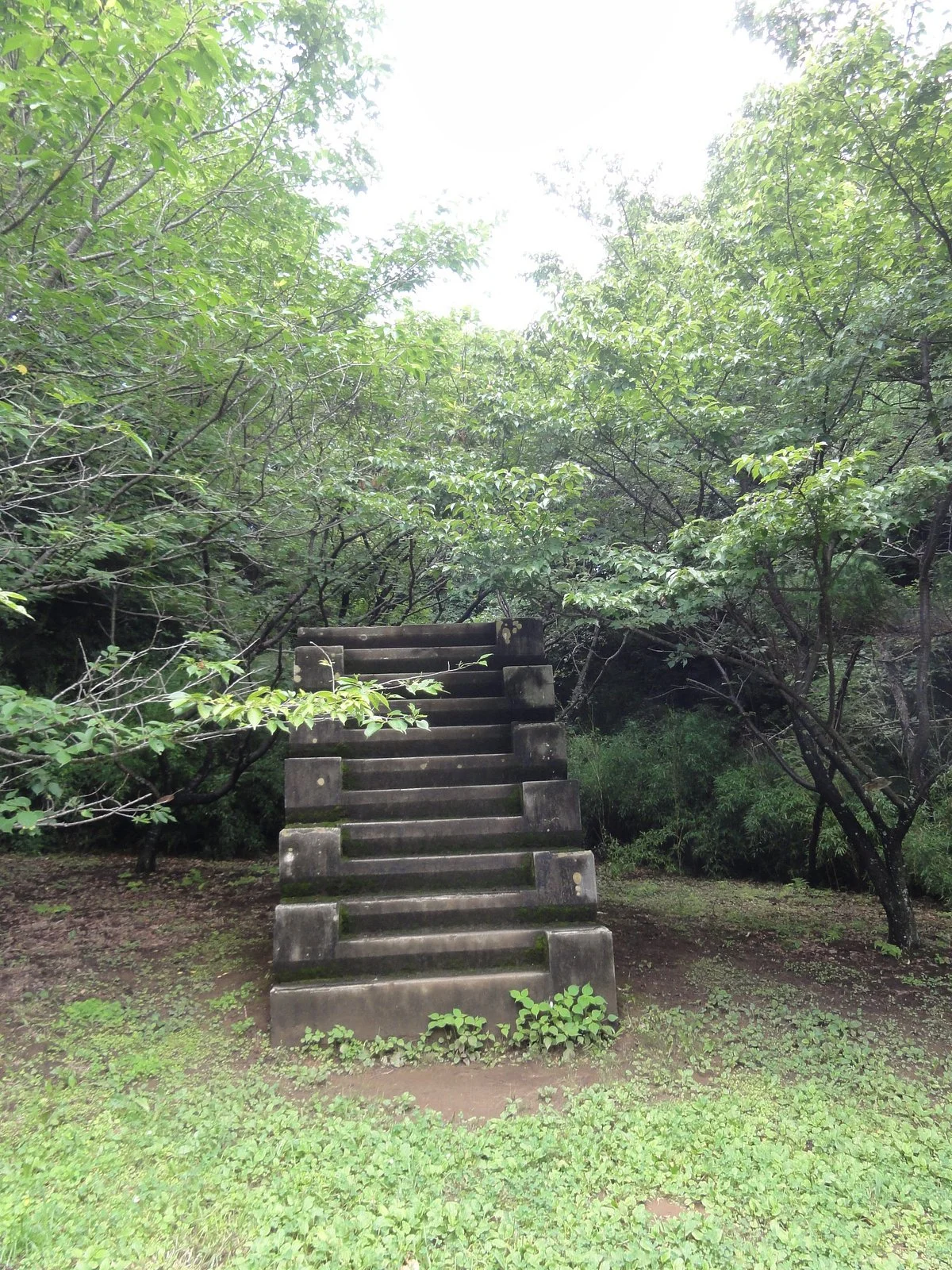 Stairs with 12 Steps for Training