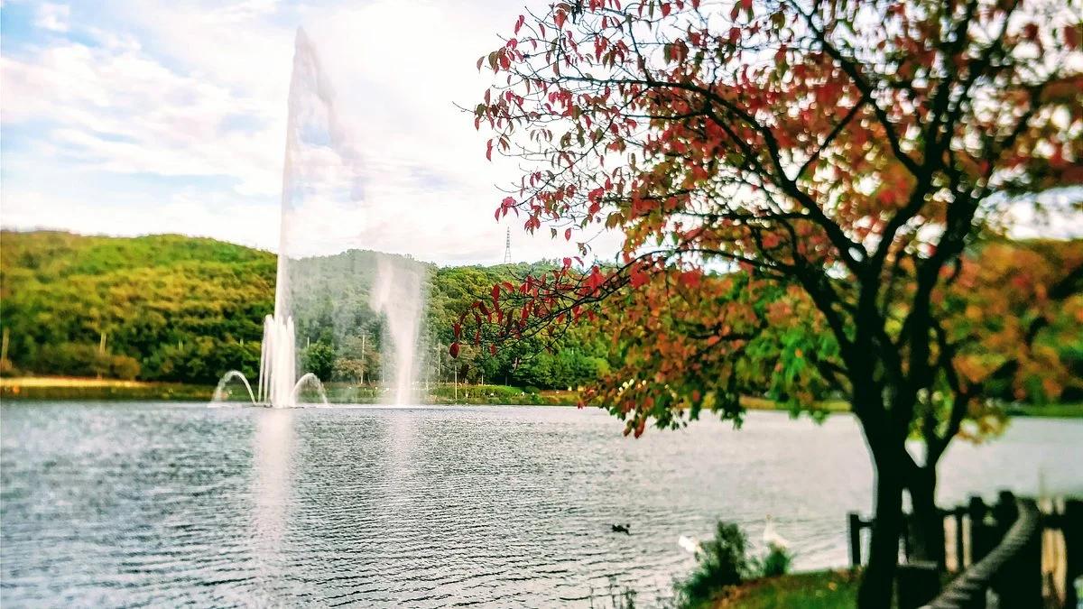 Yuldong Park