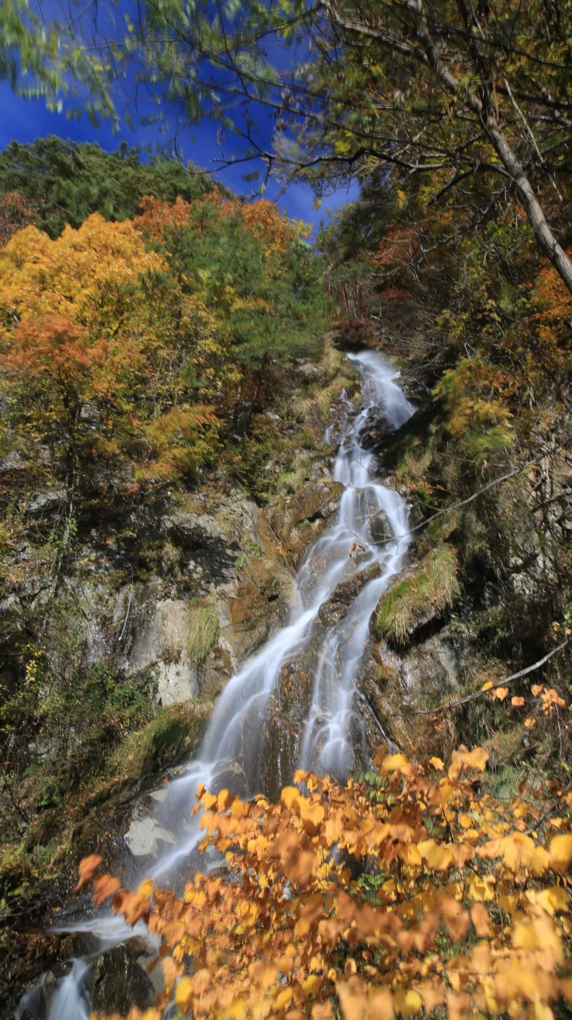 Tori Falls