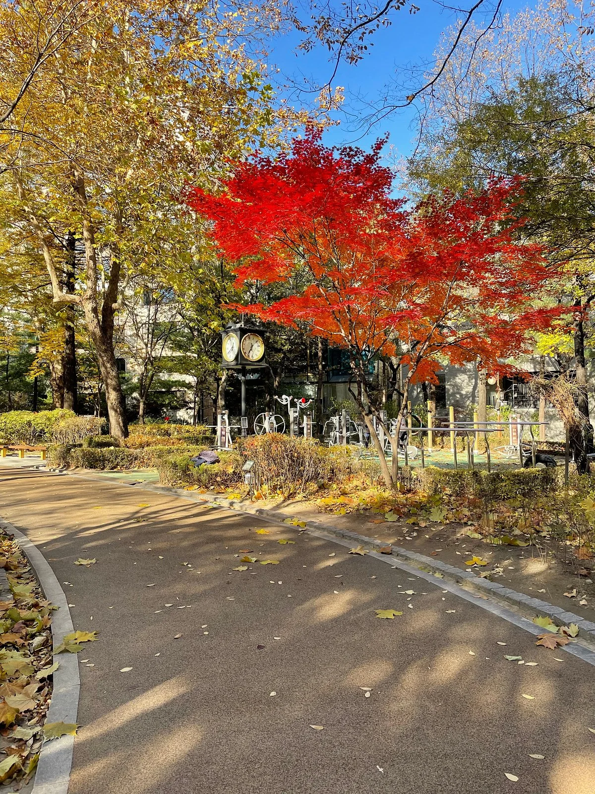 Dosan Neighborhood Park