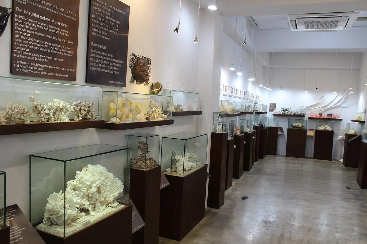 World Seashell Museum