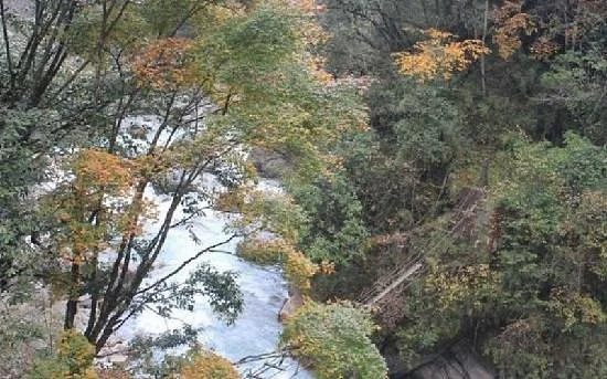 Laba River Forest Park
