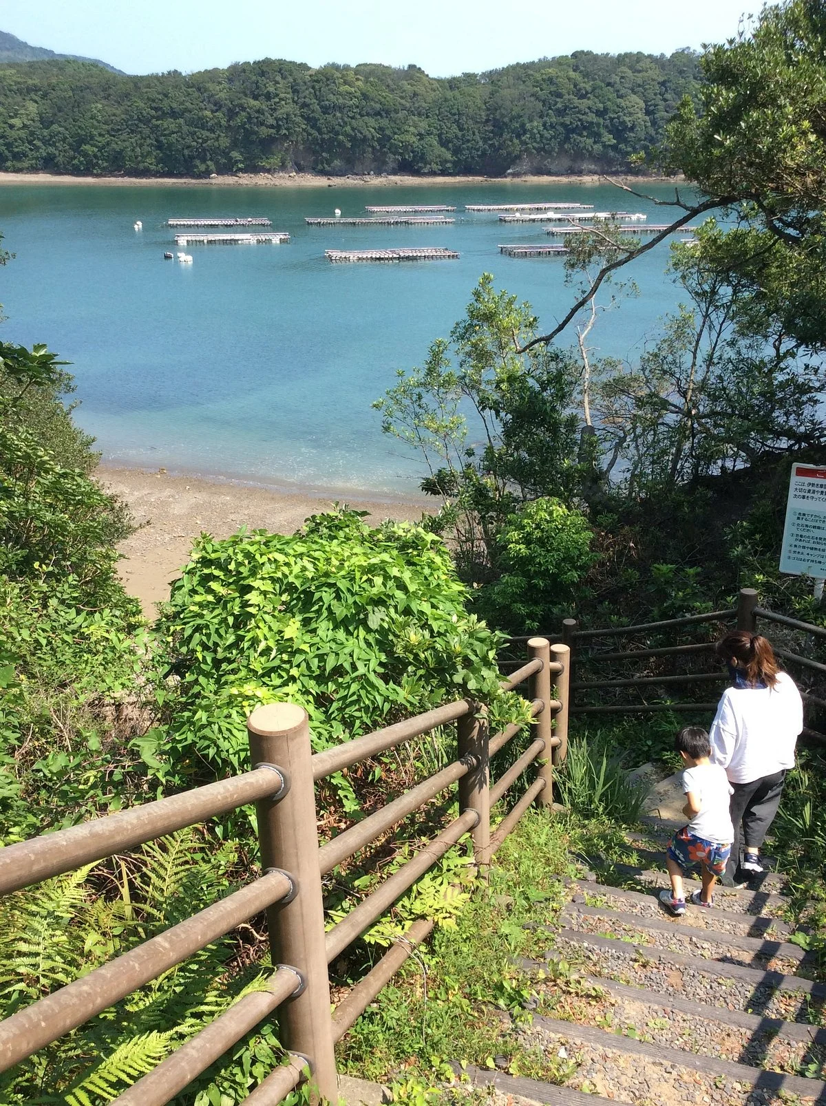 Toba Fossil Discovery Site