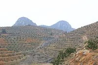 Longhua Mountain