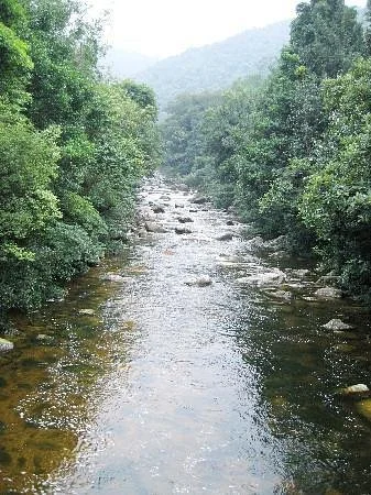 Mt. Shiwandashan National Forest Park