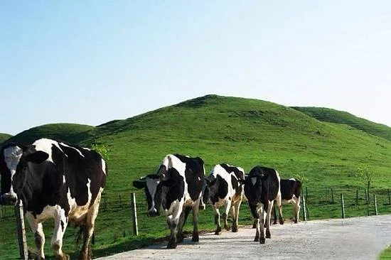 Nanshan Ranch