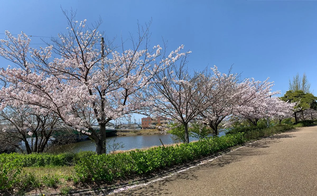 Todagawa Ryokuchi