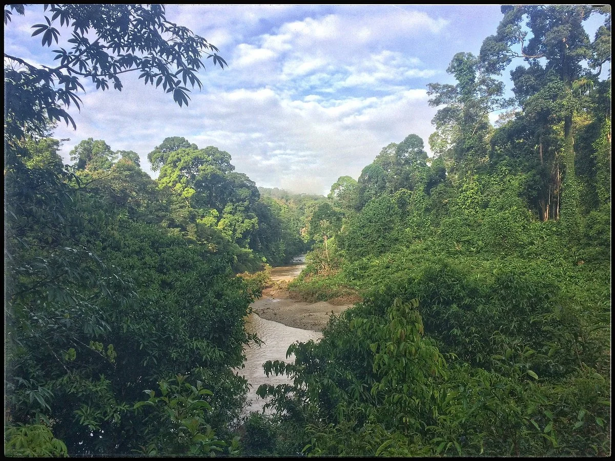 Danum Valley Conservation Area