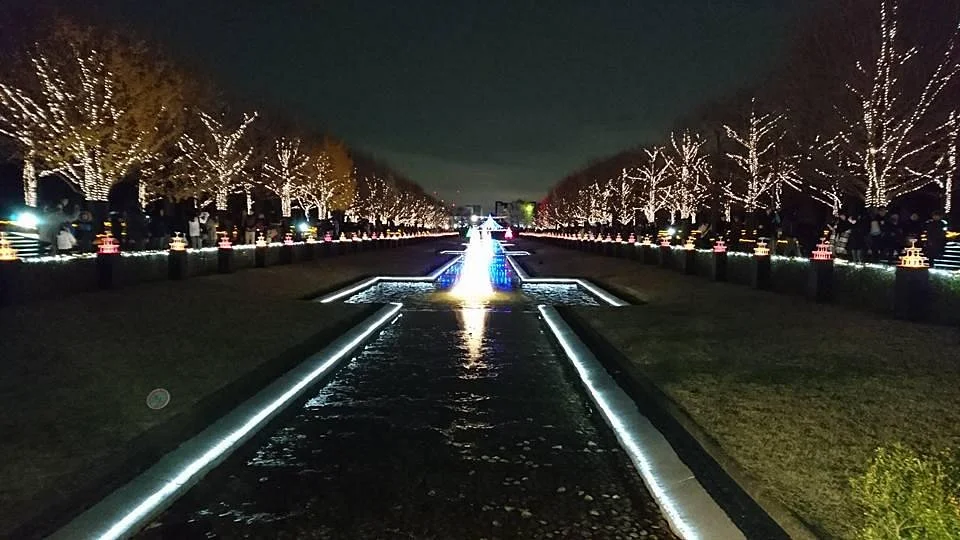 Winter Vista Illumination
