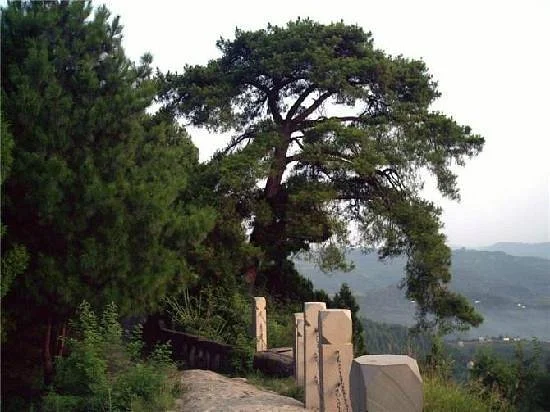 Taipeng Mountain