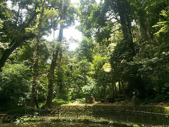 Mt. Dawei Natural Reserve