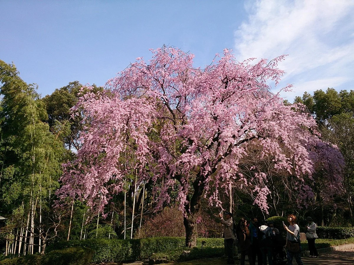 Tojo House