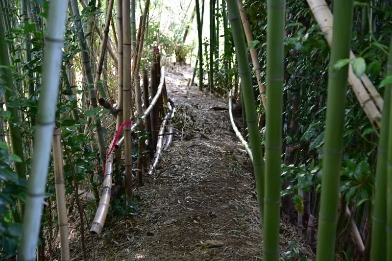 Mozume Castle Ruin