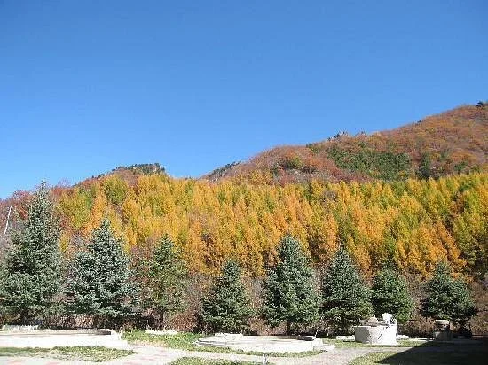 Maojing Dam Forest Park