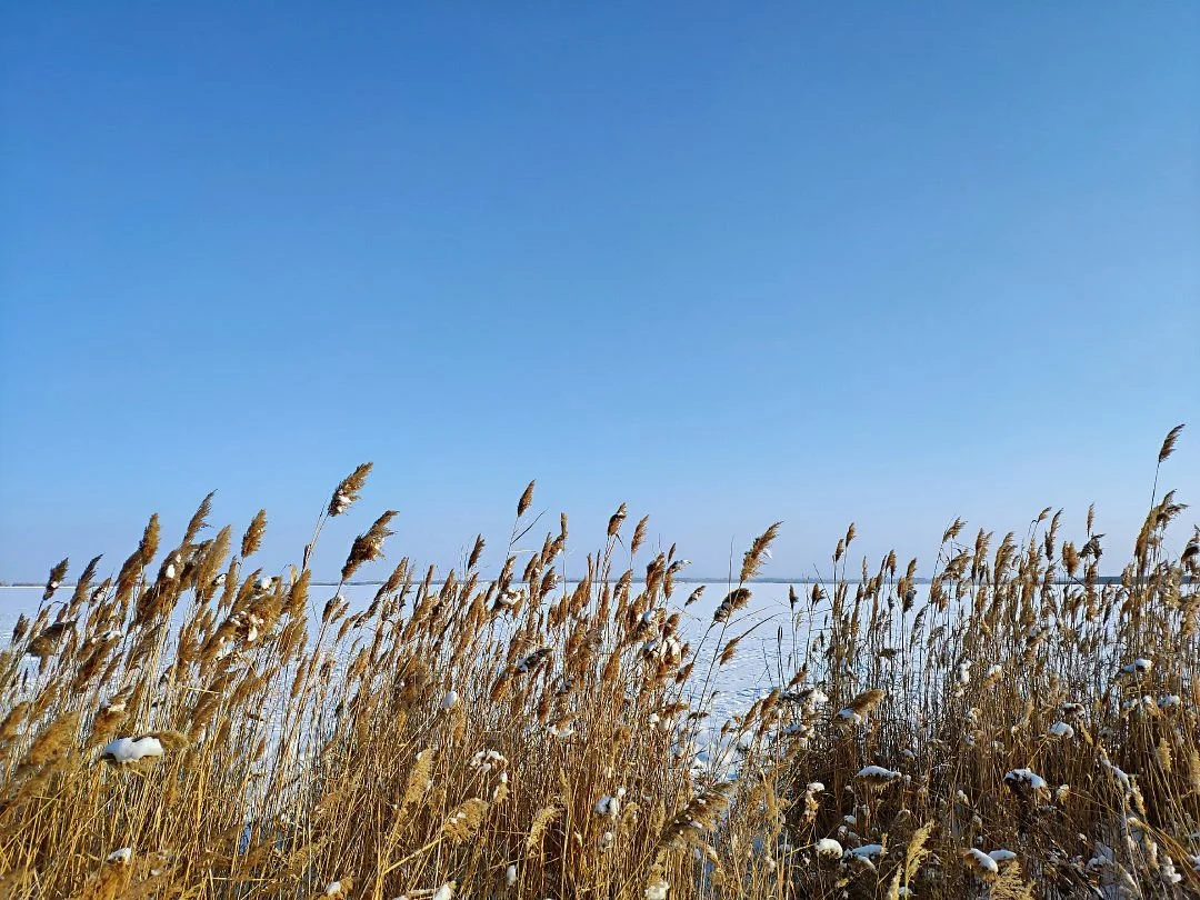 Qinggeda Lake Tourist Area