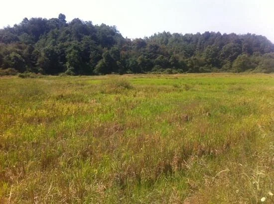 Guanshan Nature Reserve