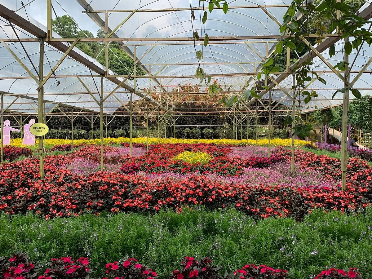 Genting Strawberry Leisure Farm
