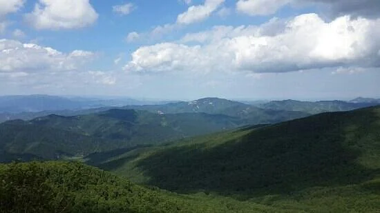 Liaoheyuan National Forest Park