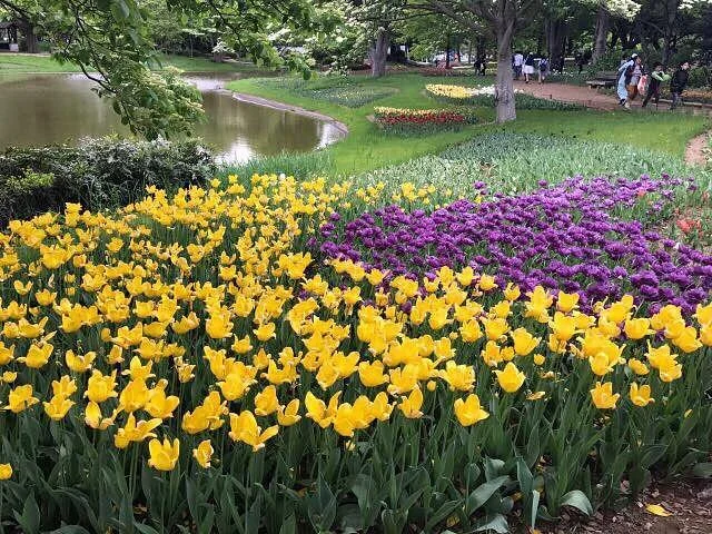 Tachikawa Park
