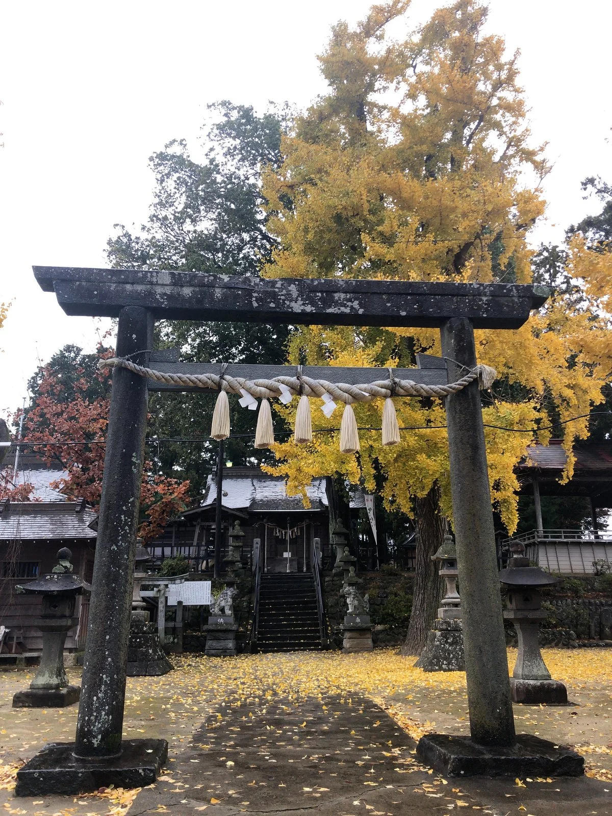 Taga Shrine
