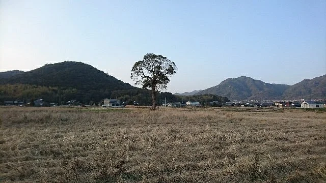 Keiko Tenno Anzaisho Ruins