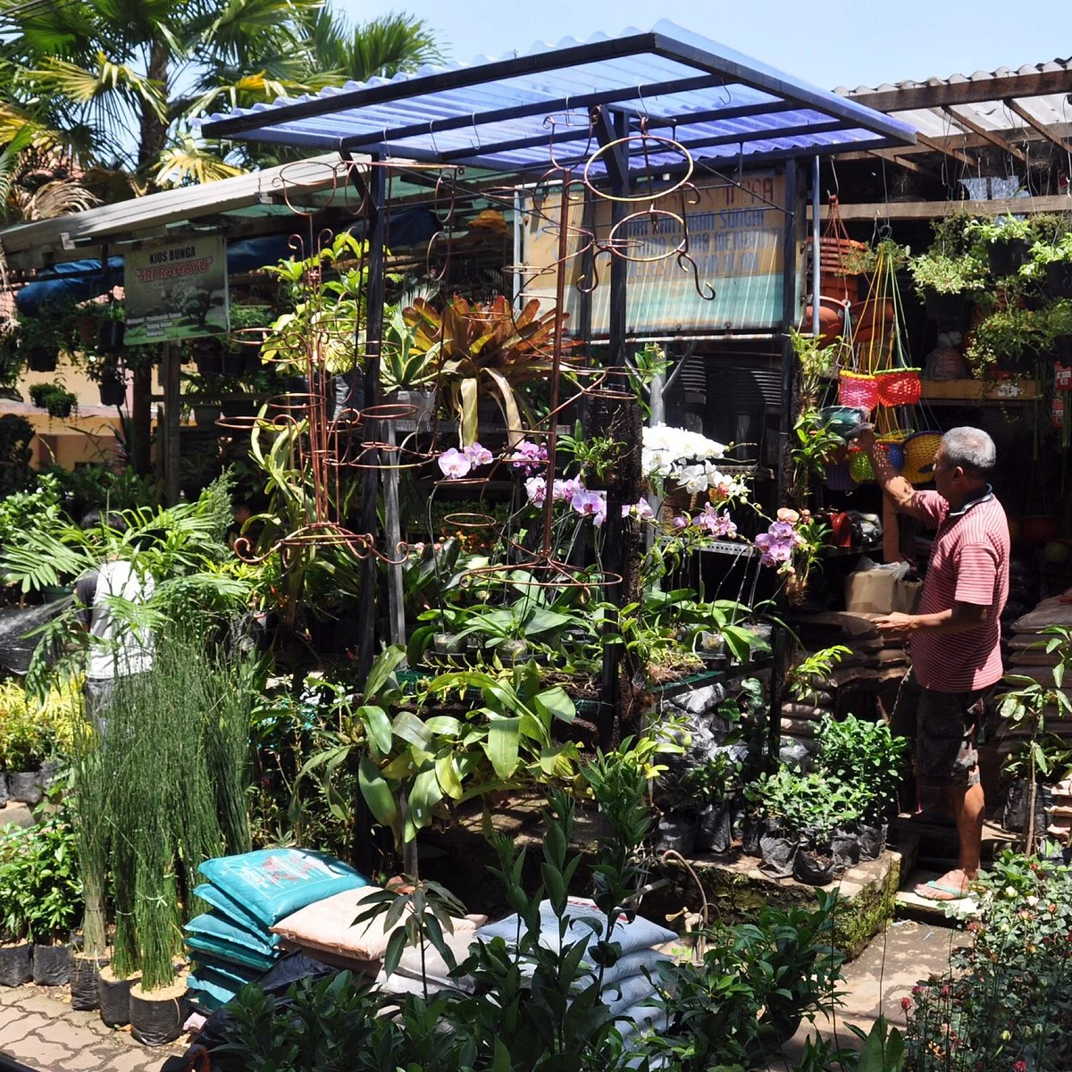 Birds and Flower Market Malang