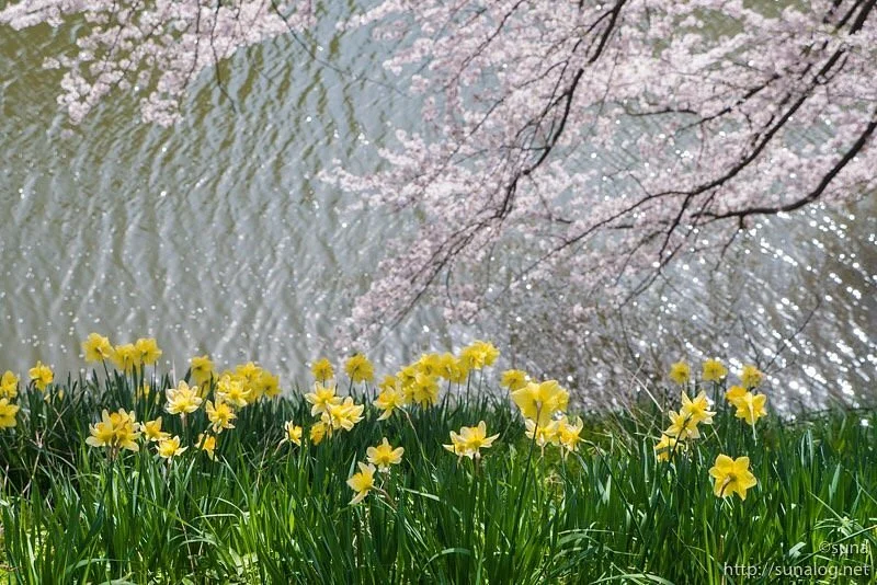 Tamagawa Park