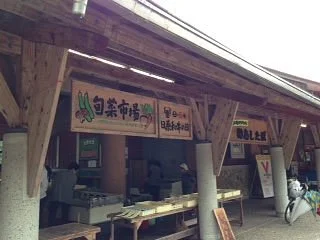 Shunsai Ichiba & Ashitaba