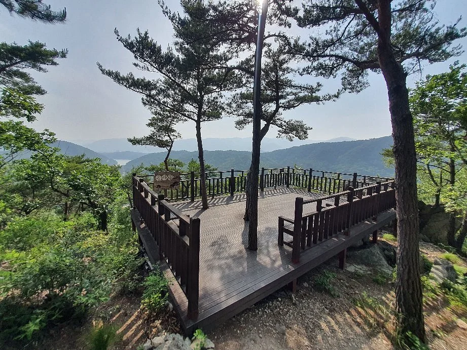Busan Healing Forest