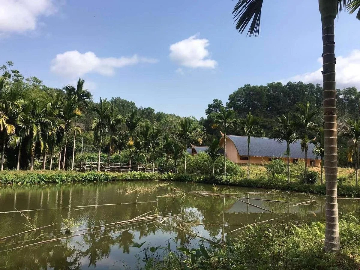 Wuzhi Mountain of Hainan