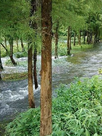 Biling Ecological Village