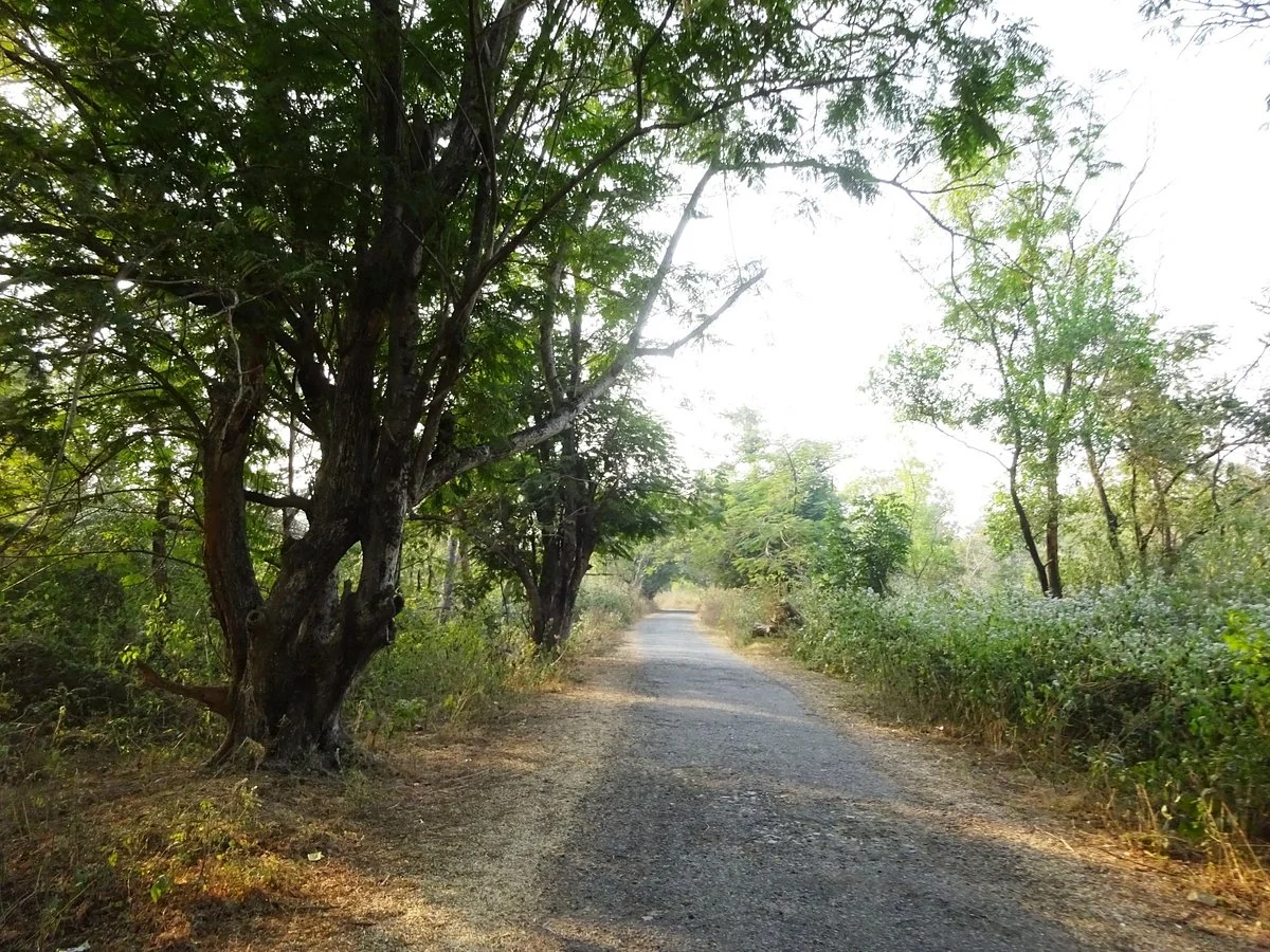 Banpukuria Deer Park