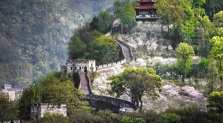 CiXiu YunShu ZhanShiGuan