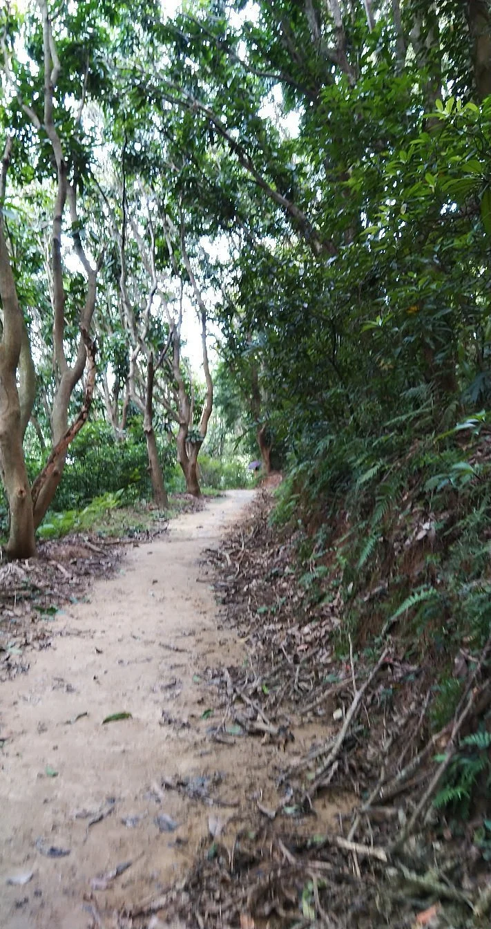 Hueilong Trail