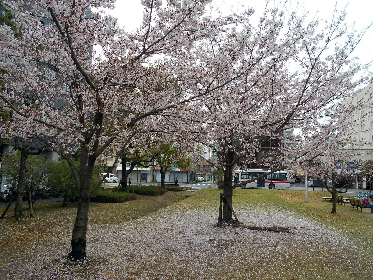 Ryogaecho Park