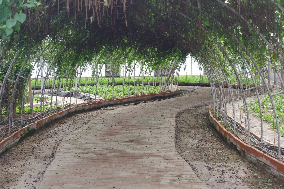 Guangzhou Vegetable Park
